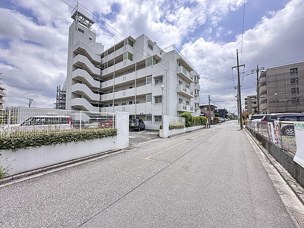 【前面道路】家の前をまっすぐの通りが走っている。クルマは少なく、人々は毎朝、ウォーキング、ジョギング、犬の散歩など、フリーな朝時間を過ごしている。