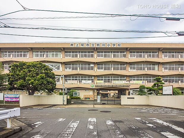 小学校 500m 上尾市立鴨川小学校