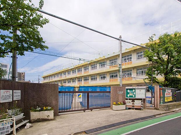 小学校 356m 川口市立仲町小学校