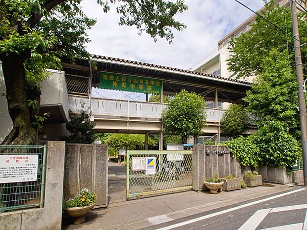 中学校 561m 川口市立仲町中学校