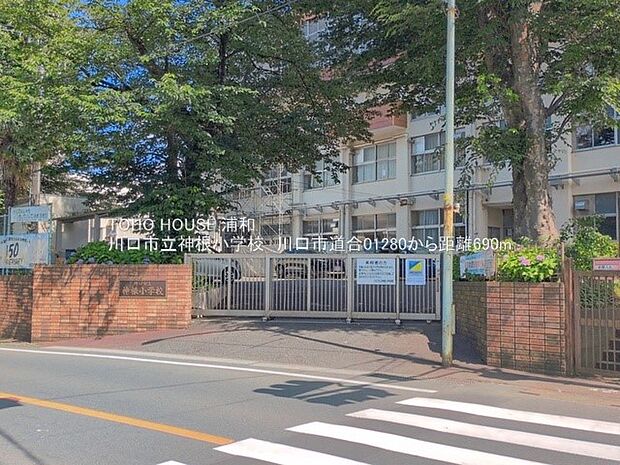 小学校 700m 川口市立神根小学校