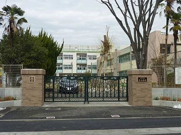 小学校 1700m 川口市立芝小学校