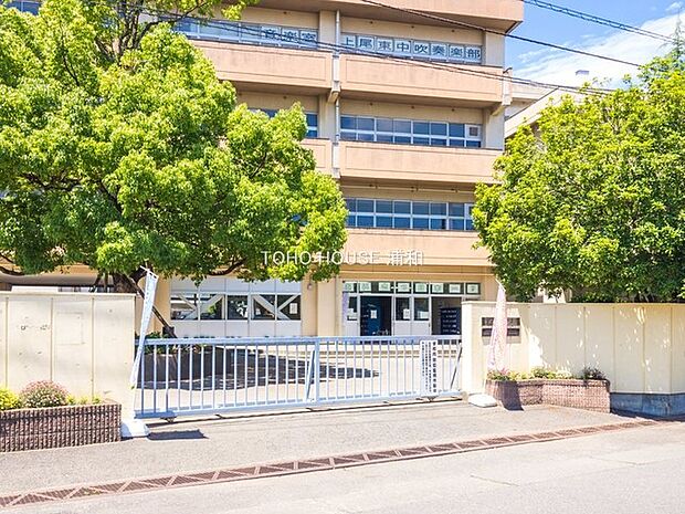 中学校 1000m 上尾市立東中学校(上尾市立東中学校　徒歩　約13分)