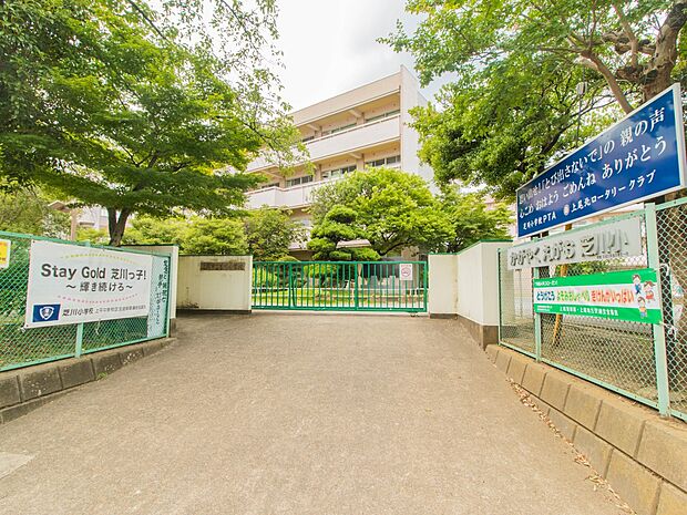 小学校 400m 上尾市立芝川小学校(上尾市立芝川小学校 徒歩 約5分)