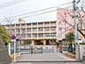 周辺：中学校 639m さいたま市立大谷場中学校