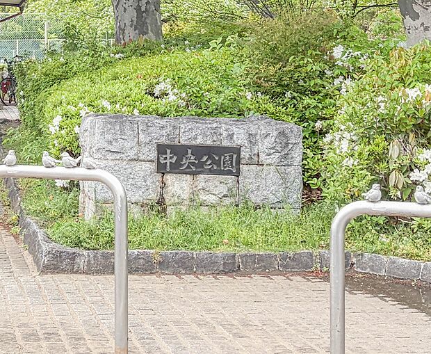 公園 400m 与野中央公園(与野中央公園 徒歩5分)