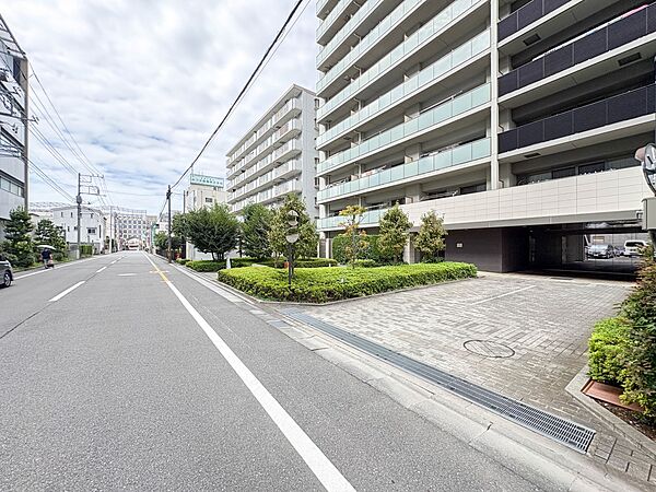 【前面道路】家の前をまっすぐの通りが走っている。クルマは少なく、人々は毎朝、ウォーキング、ジョギング、犬の散歩など、フリーな朝時間を過ごしている。
