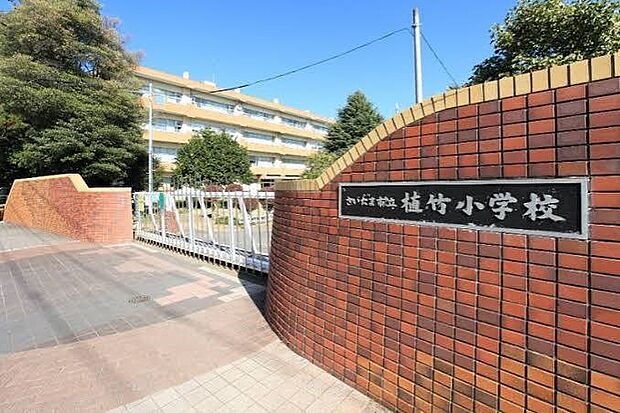 小学校 700m さいたま市立植竹小学校