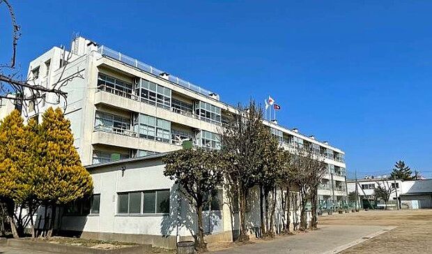 小学校 500m 川口市立芝中央小学校