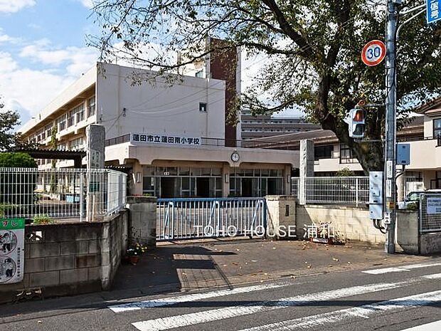 小学校 350m 市立 蓮田南小学校
