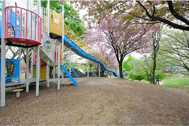 公園 900m 根ヶ谷戸公園(ターザンロープ、ローラー滑り台、ジャブジャブ川など、お子様の遊具が充実・桜の季節は広場でお花見も!市営の大型公園)