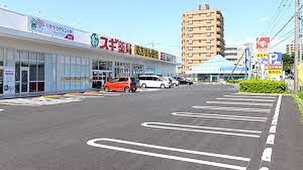 ドラッグストア 800m スギ薬局南元宿店