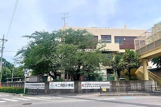小学校 642m 川口市立十二月田小学校