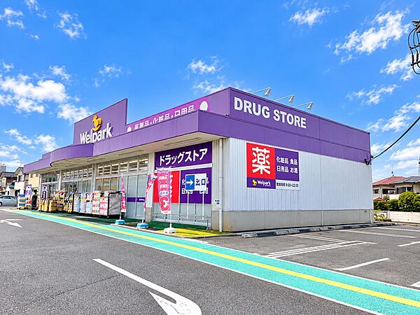 ドラッグストア 700m ウェルパーク練馬上石神井南店