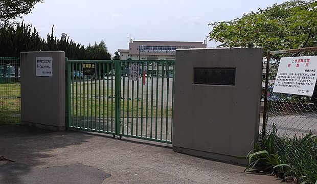 小学校 1000m 川口市立柳崎小学校