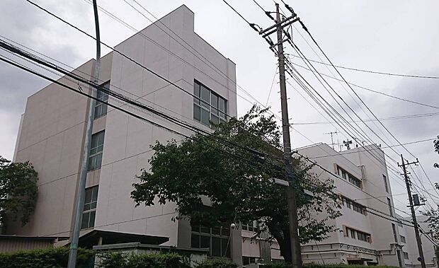 小学校 500m 戸田市立喜沢小学校