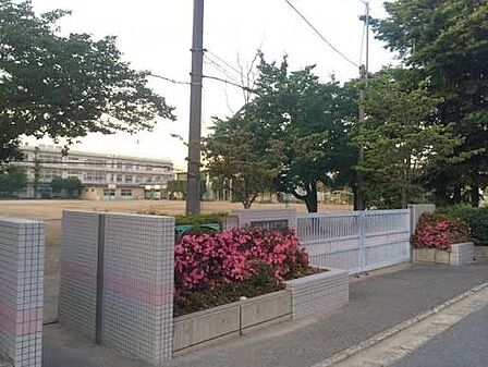 中学校 880m 川口市立幸並中学校
