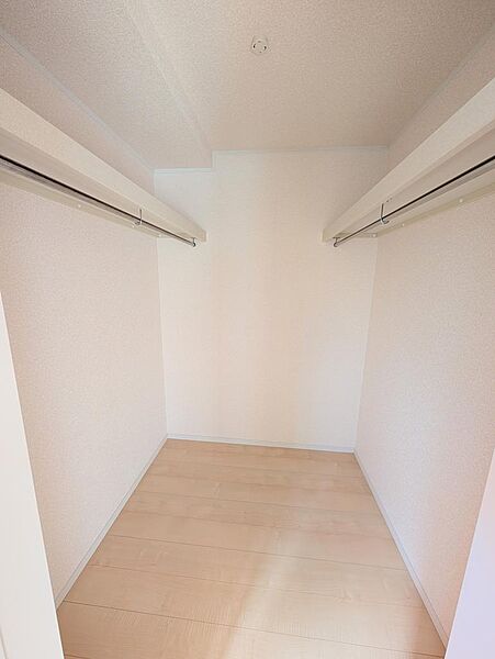 両側にハンガーパイプを備えたウォークインクローゼット。衣類をまとめて収納できます。【2026年10月2日撮影】
