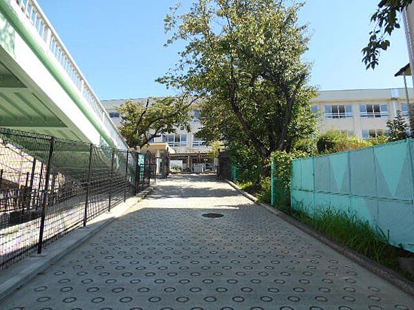 柏原市立国分中学校 徒歩10分。 790m