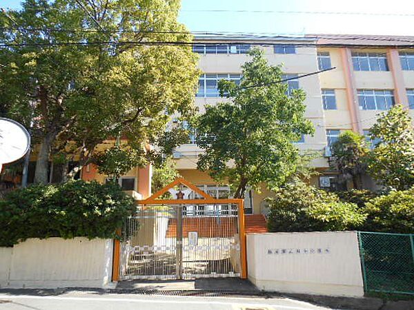 柏原市立国分小学校 徒歩14分。 1050m
