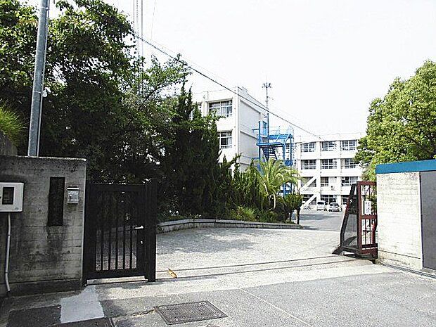 羽曳野市立峰塚中学校 徒歩26分。 2080m