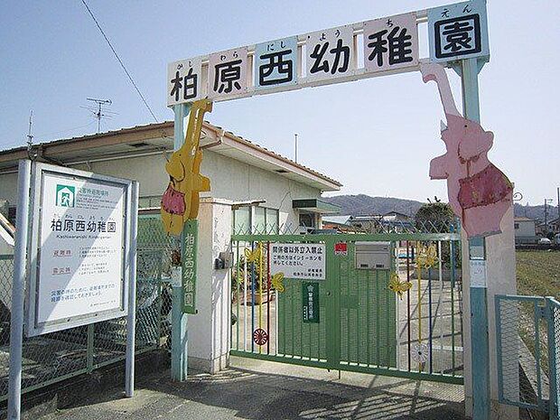 柏原市立柏原西保育所 徒歩3分。 240m