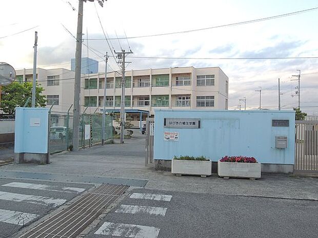 羽曳野市立はびきの埴生学園 徒歩13分。 990m