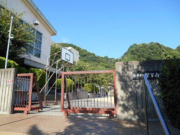 柏原市立堅下南中学校 徒歩21分。 1640m