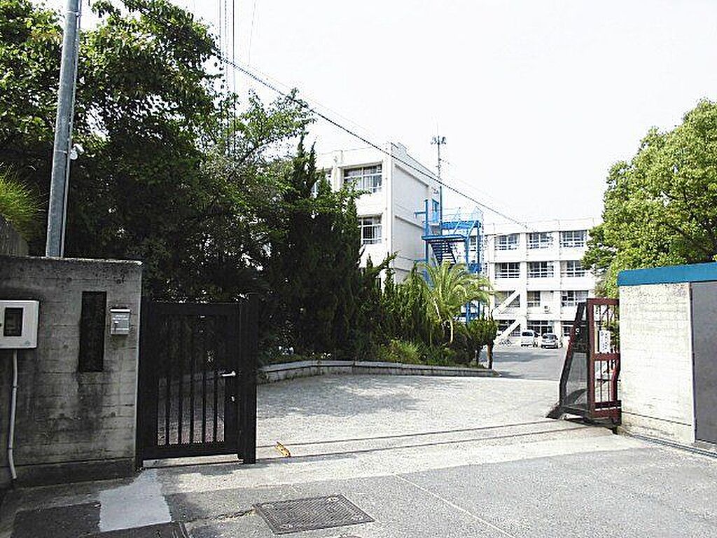 Image 12