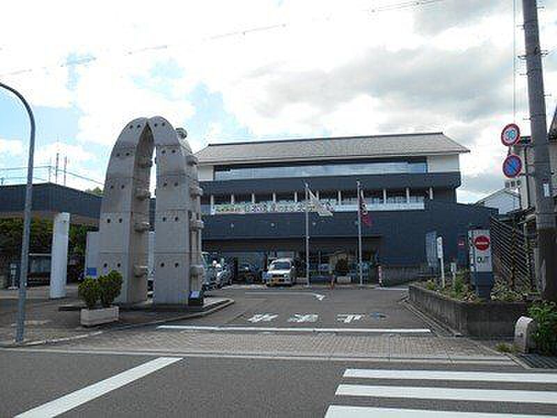 Image 12