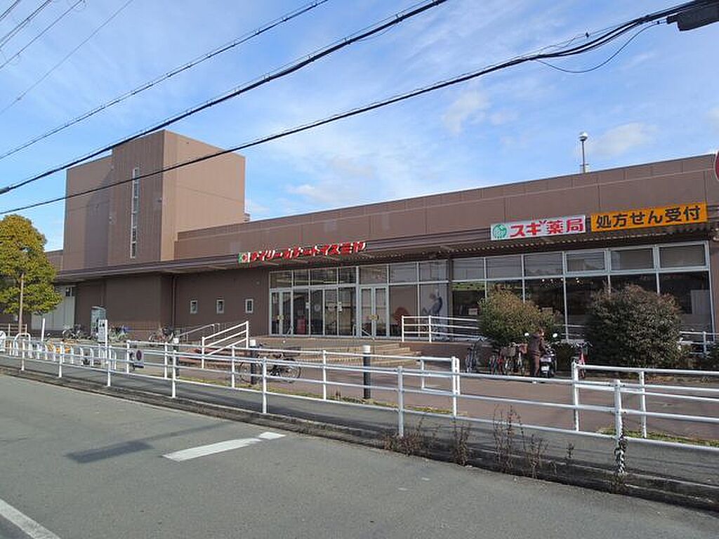 Image 6