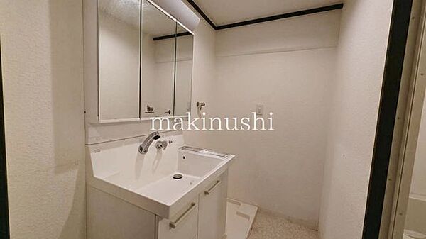大きな鏡の洗面化粧台！大きな洗面ボウルで身だしなみを整えたりメイクをするのにも便利です！鏡面の裏は収納になった機能的な洗面台！