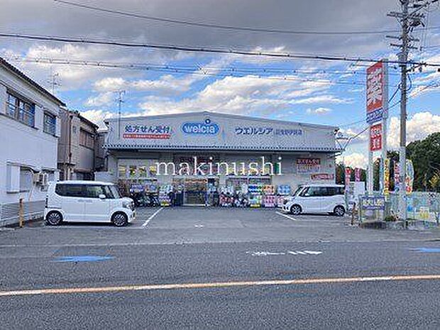 ウエルシア羽曳野伊賀店 徒歩13分。 990m