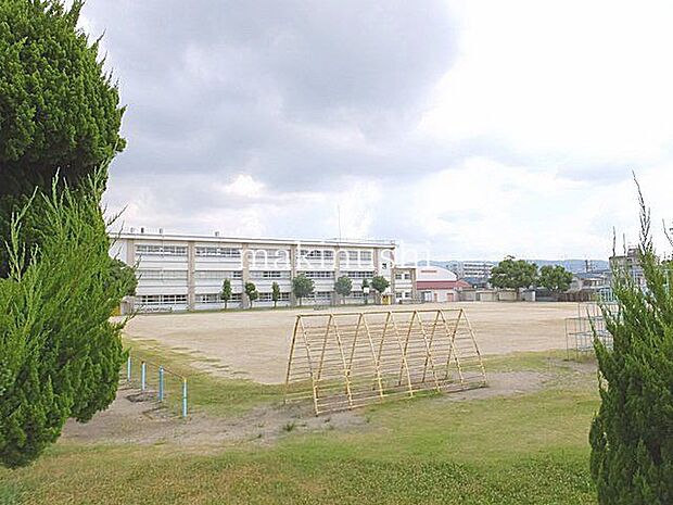 藤井寺市立藤井寺南小学校 徒歩8分。 600m