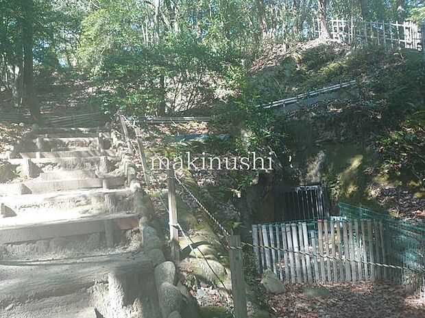 史跡高井田横穴公園 徒歩6分。 440m