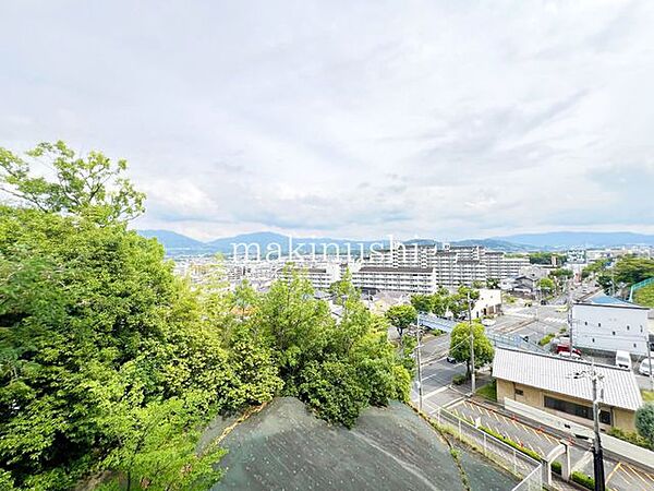 バルコニーが南東向きで、朝から昼まで日差しが気持ちよく射し込みます。窓を開けると、日常の生活に彩りを添える素敵な景色が望めます。