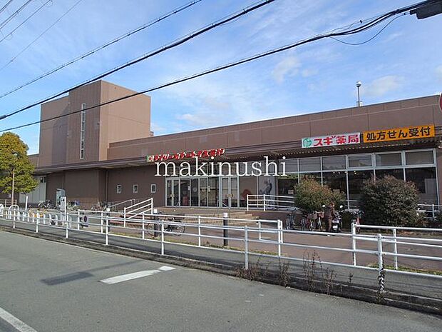 デイリーカナートイズミヤ玉手店 徒歩17分。 1290m