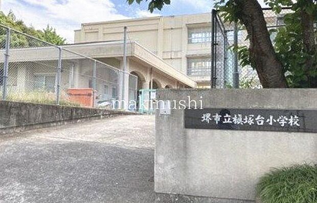 堺市立槇塚台小学校 徒歩7分。 490m