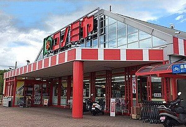コノミヤ北青葉台店 徒歩11分。 810m