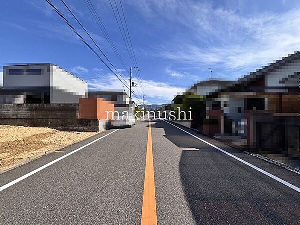 前面道路を含む現地写真