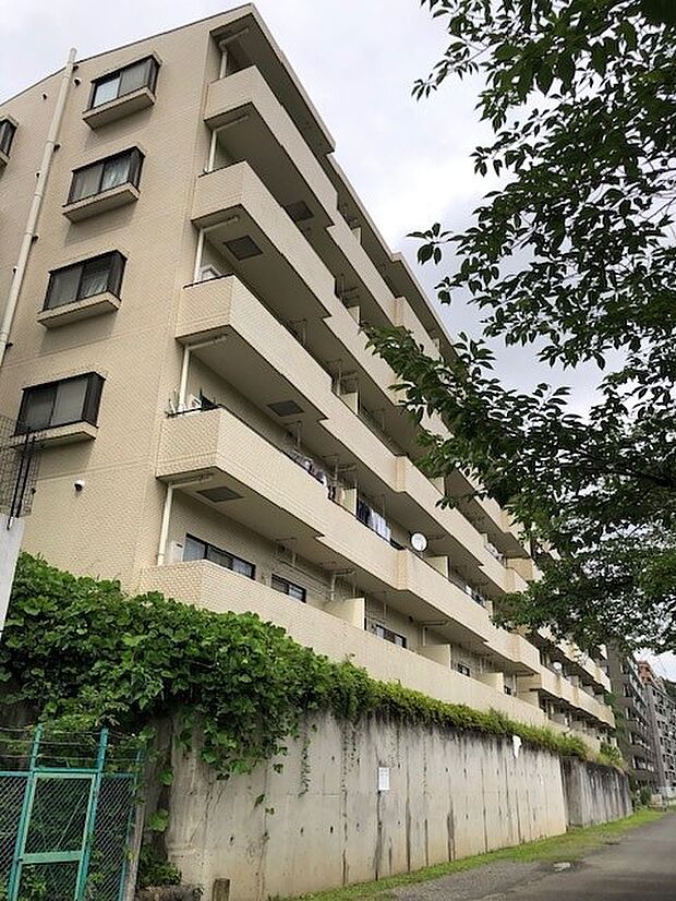 川サイドから見たマンション