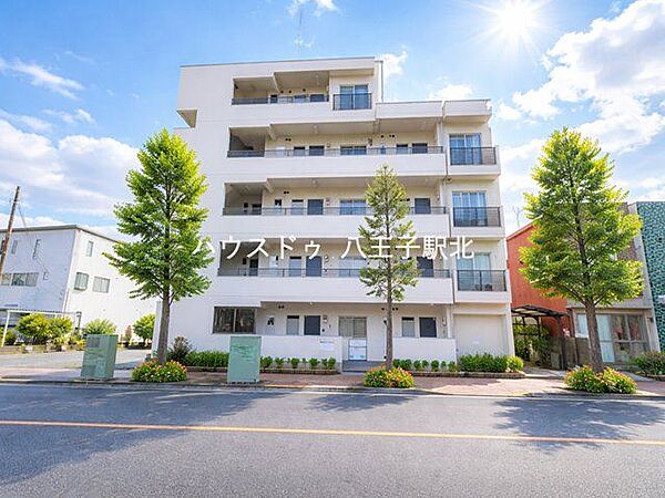 外観：313004662666