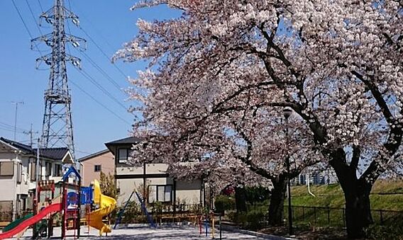 暁公園鉄棒・ブ...