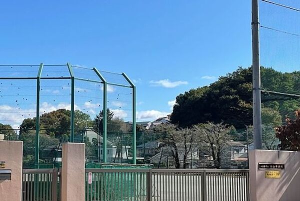 八王子市立　横山中学校 800m