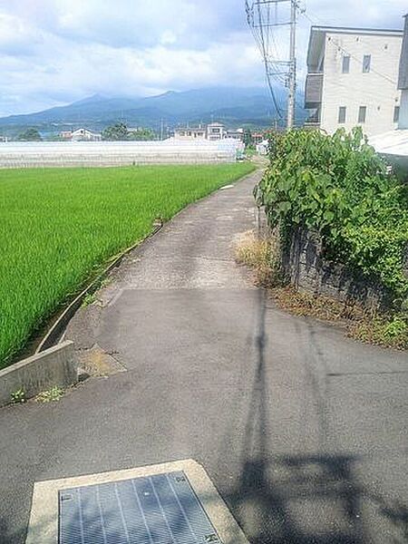 南側の接道です。
