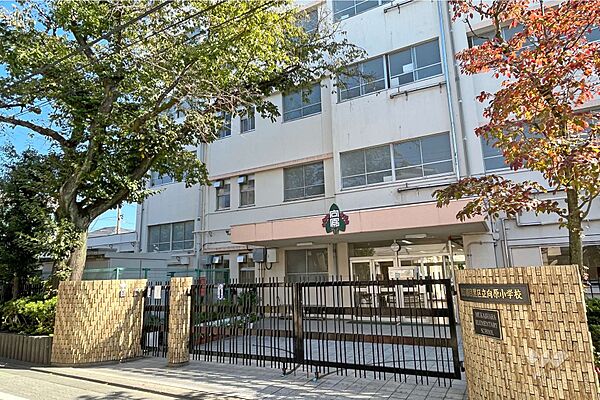 向原小学校[公立]