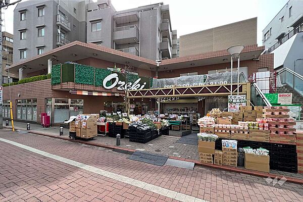 オオゼキ(雪が谷店)の外観