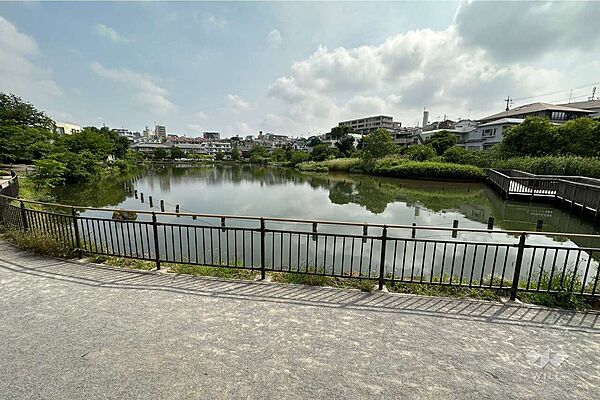 小池公園の外観