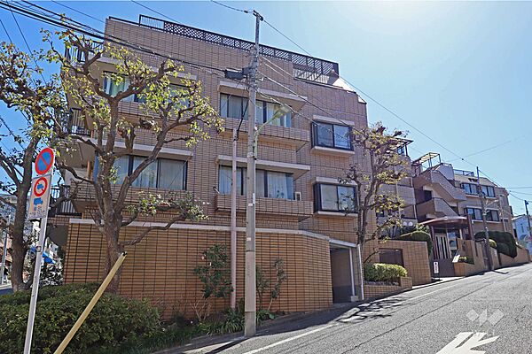 外観：313004838637