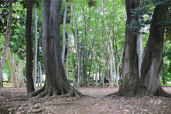 林試の森公園